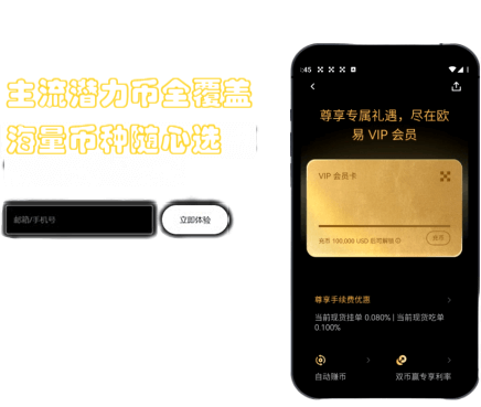 虚拟账户界面